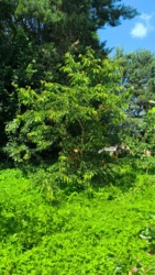 55291c7a-38d4-4592-9d92-08d24aebe191