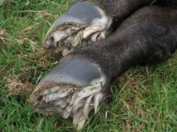 b2c60925-5142-44f1-936c-aa120dbaa581