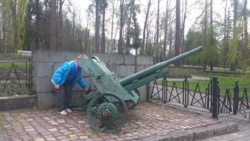 c01702e1-b45b-4acf-beea-5b4361e13b59