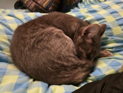 467f9c57-f63c-47dc-8685-c55f508753e3