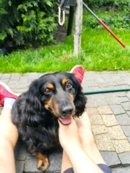 d481263f-78e0-45cf-9bb4-27fc316989ac