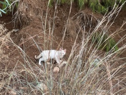 b2678a66-bbb4-4964-92bb-050c6da848d7