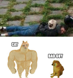 e38a9486-bc17-4851-921a-cc8c6332a152