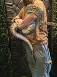 2095c787-a3e4-4984-b9db-fd0aff0ccbd6