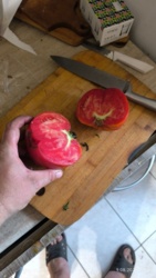 753ce86d-d81c-499a-b908-8c275b92a9e3