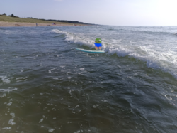 eb05685e-dc32-430f-ac17-369e15cbbb3a