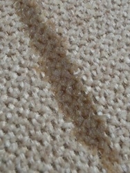 a5ee7f02-87c3-429c-9777-043c806fdfce