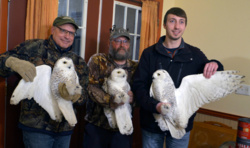 73c4bcc3-e912-4aa0-b114-2a2f8774754b