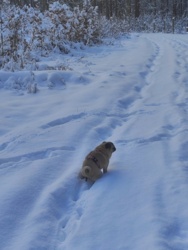 85388c4f-3882-4936-9b64-63d9bd1ad47a