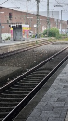 24708cb0-a867-40f0-a10e-187a38edf853