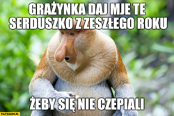 cfd03fe0-96c5-4ba6-8518-54870465e3fe