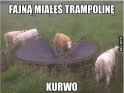 0d1c2b2a-3775-41c8-aab9-8c240be18d3e