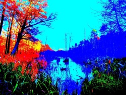 bf3a256b-386c-42ca-a5bb-958348fd6146