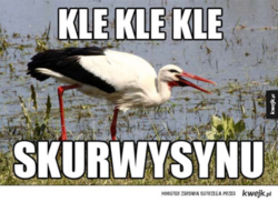 7c6e9e50-d06a-4910-a741-8605ee0bfb7a