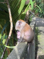 2762bf37-90c8-4368-abaa-726242e998b3