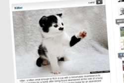 c2277770-54cc-48a8-a37d-a9eead3c3da2