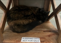 b3974130-370e-45d6-bb2f-512de5a92aeb