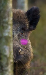 4b6a89f3-ee87-4278-a267-95548e46e8ff