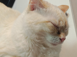 d16916b5-6e2e-4c1b-b7fc-125f81ca98b2