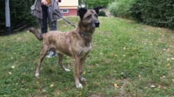 afd82770-1341-49cf-9875-5431f32bfdd8