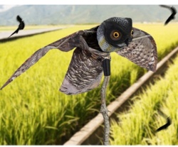 b742e771-2f7f-4524-847a-3bbebfacabb9