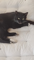 3f95e662-fbbb-4039-bb14-27440abd8429