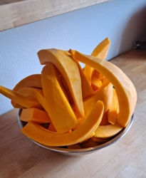 54361f21-21dd-4de6-acfd-1aafc6415ffe