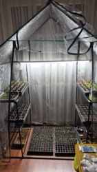 88db5d8c-6cf9-418b-875b-54f14a80f14d