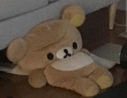 a1cc8036-3375-4de9-b7d8-077100ac748e