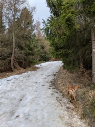 26bbdd48-1c58-46ff-9e8b-0f5ffbf994e6