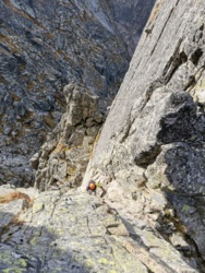 6d25d80b-e83b-4b48-a3b3-45fbb2208b32