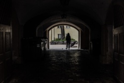 81484266-666a-4e0d-8c0c-da4062022a7e