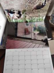 ca57e00d-2db1-49d8-8d19-d826c59f89f7