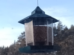 08482056-a311-439b-ae0e-a2094a671375