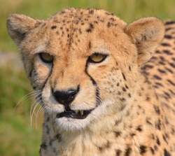 29940bb7-531b-4070-adc0-014fc54946a5