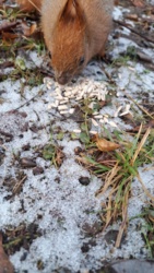 c2375bad-911f-4e0e-a5d2-bc97f1bf8e09