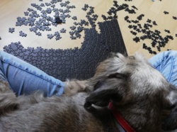 a03e7089-b9cd-4050-8ace-373d8a0cdfe6