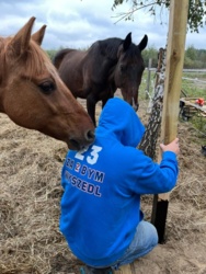 6e33c6eb-1ebd-4ea2-8f5a-90b7e8348680