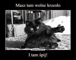 929427f8-de4c-480c-ba3c-7648f7b634ed