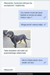 54ca572b-b983-4ed9-81c0-334962d34822