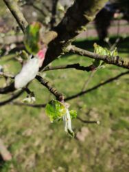 36ebbfb8-0f1b-4bf4-81bb-b10925e77c80