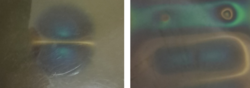 63f32f61-5ef0-4465-9bfb-9f21210dc8df