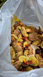 92565a09-efae-4f6d-b673-fb7e014f12ef