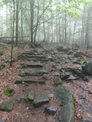 84366885-c2c4-413f-b445-0805364e37dc