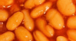 ad854f05-291f-4a5b-9e0e-14618cd04626