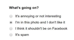 1b0f9ff7-407c-4388-82e0-003ed334f5dc