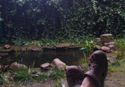 40485644-d66b-4ecb-9873-b1d39f9c2954