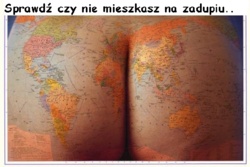 959d781c-ea0a-449d-9932-574ab8c8b6af