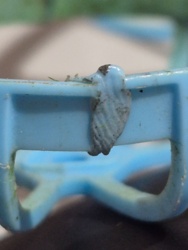 d9dca10e-f59a-470c-aad4-fee9274ca3b2