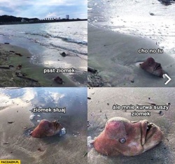 42f97546-a933-4d0a-9023-4e619394f74c